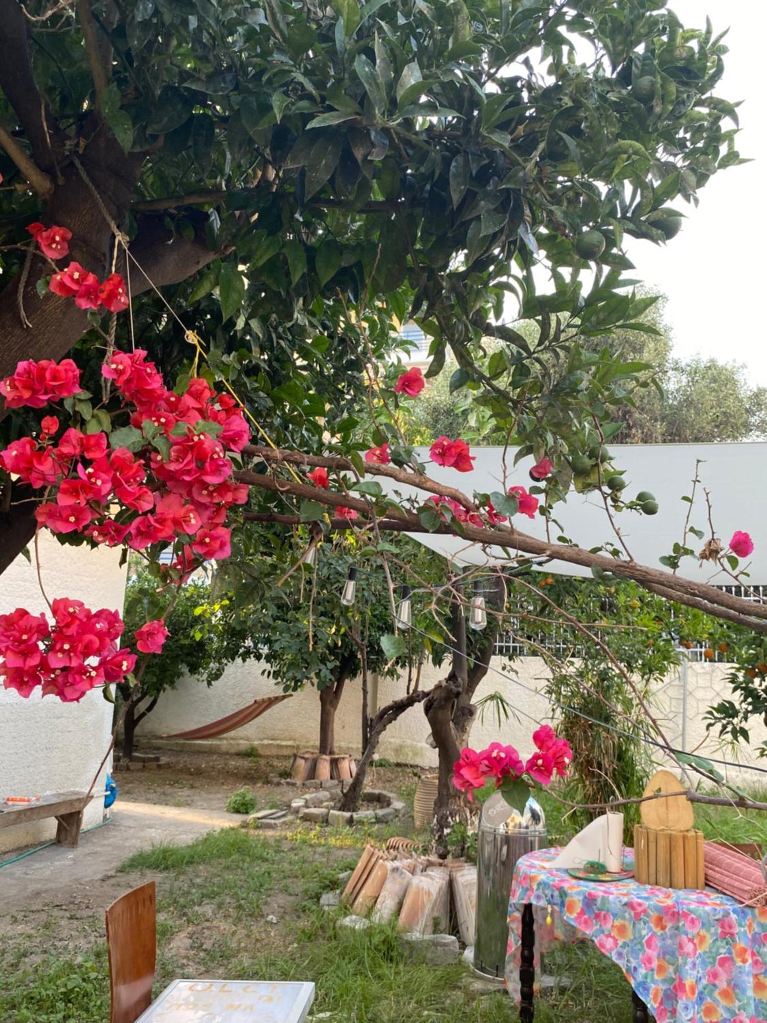 קלמאטה Best Located Ruby Luxury Escape מראה חיצוני תמונה