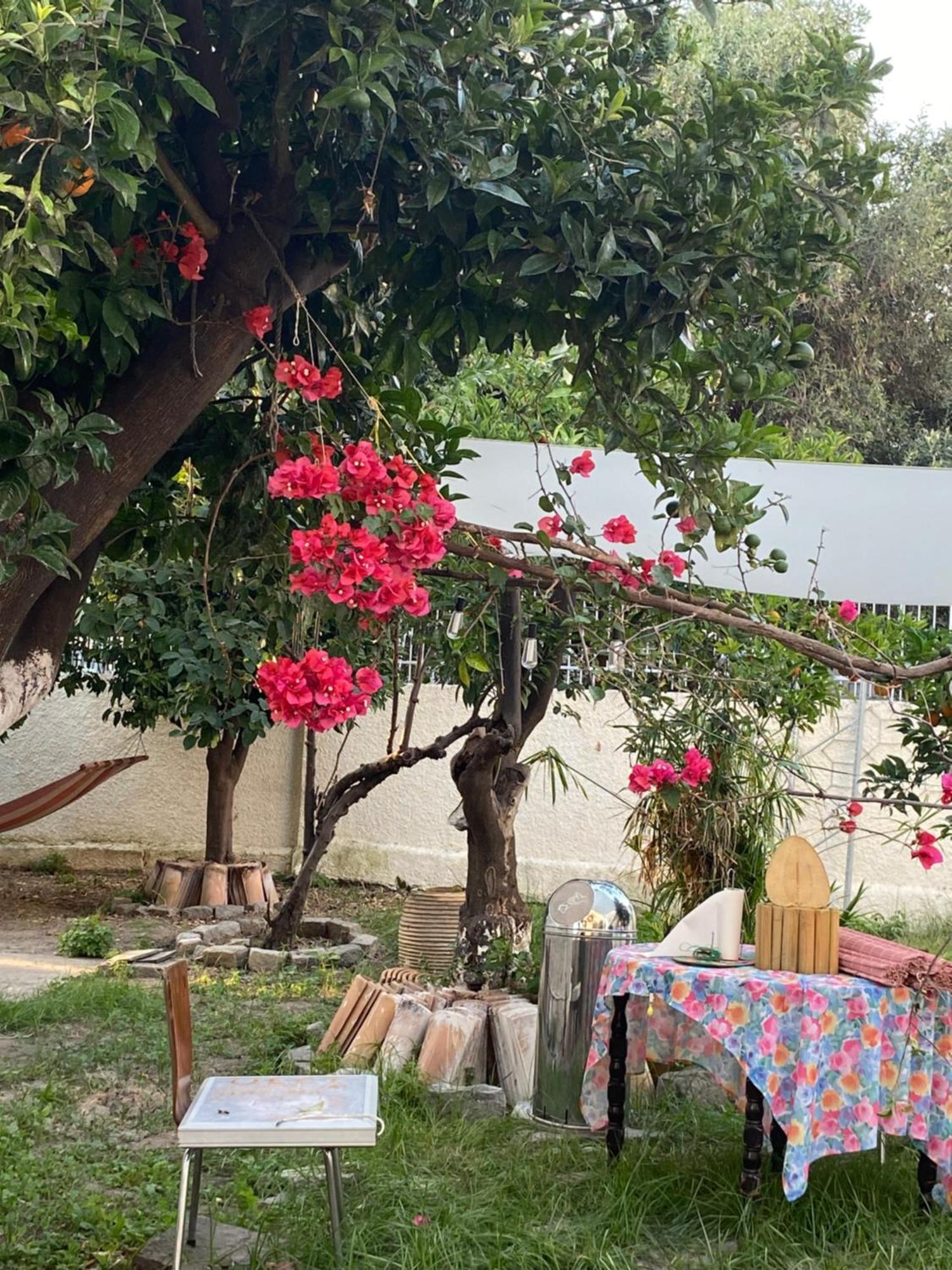 קלמאטה Best Located Ruby Luxury Escape מראה חיצוני תמונה